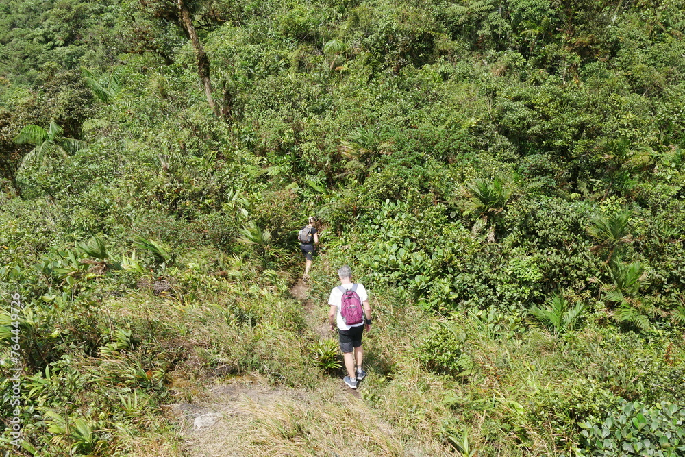 Wanderung am Berg Cerro Gaital im tropischen Nebelwald in El Valle de Antón in Panama