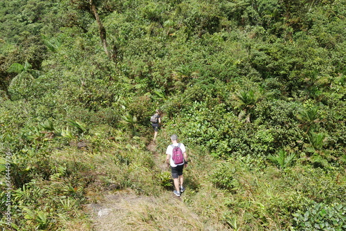 Obraz na płótnie Wanderung am Berg Cerro Gaital im tropischen Nebelwald in El Valle de Antón in Panama w salonie