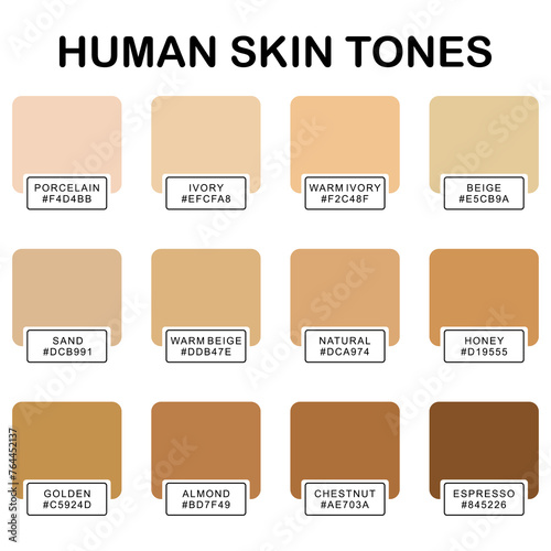 Collection Color palette, Skin tones. Flat vector illustration. skin color infographics. skin tone, vector icon. 