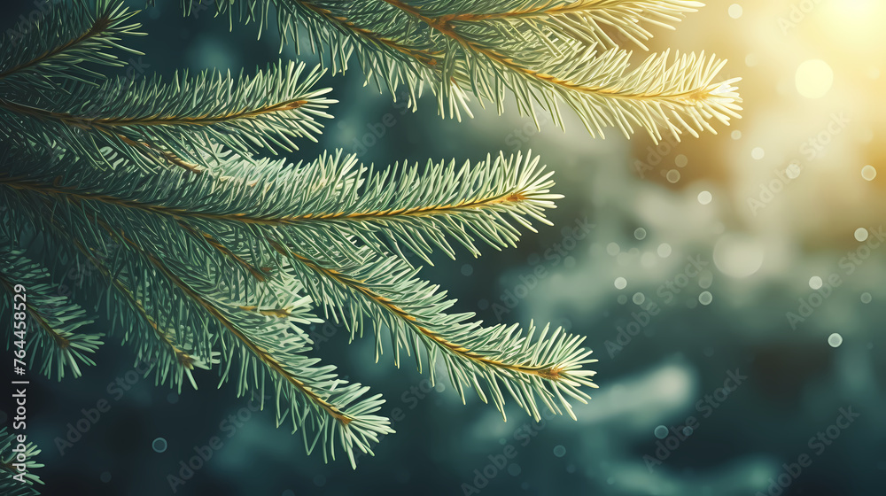 Christmas background with pine branches and bokeh lights