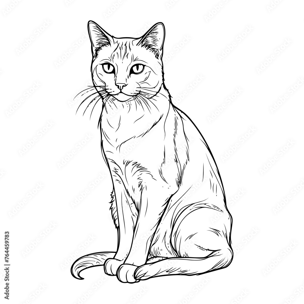 A cat's full body depicted in black and white lines.