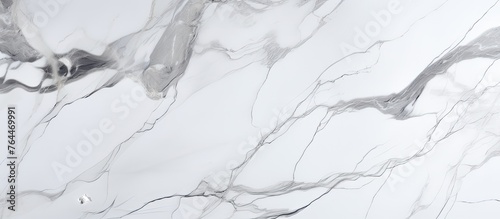 There is a marble counter top with a black and white marble pattern. photo