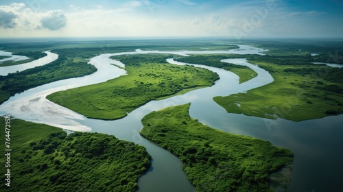 aerial view of a river delta with lush green vegetation and winding waterways © Usman