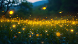 The magical moments when fireflies come to life during the twilight hours. Long-exposure shots can create a mesmerizing effect
