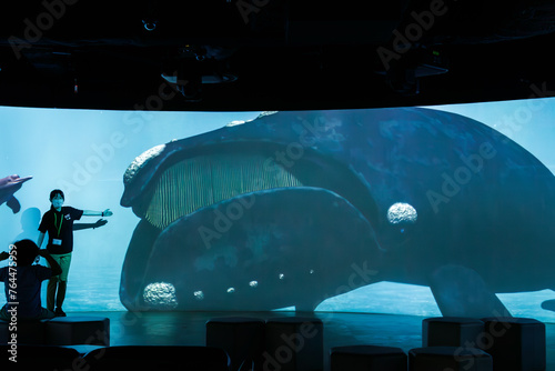 鯨類解説スクリーン。
巨大で美しいセミクジラ（セミクジラ科）。

日本国神奈川県川崎市、カワスイにて。
2023年9月4日撮影。

Cetacean Interpretive Screen.
Huge and beautiful North Pacific right whale (Eubalaena japonica, family Right Whales).

At Kawasui aqua photo
