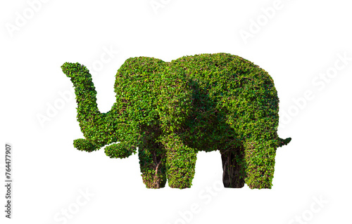 Decorative topiary tree in elephant shaped isolated on transparent background, png file photo