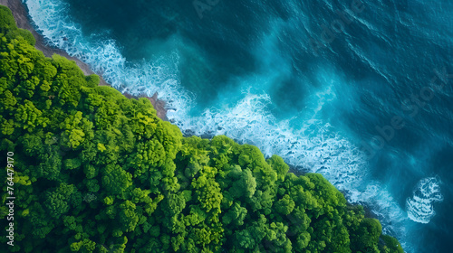 Nature from a different perspective. Aerial shots of landscapes, coastlines, or forests can offer a unique and breathtaking view 