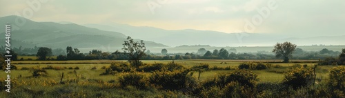 A scene of green fields, shrubs, and a hazy sky in the spring