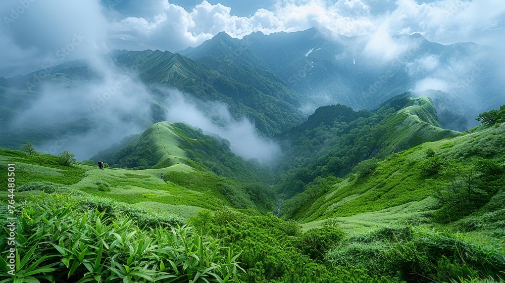 Obraz premium Greenery mountains, the tranquility of high altitudes
