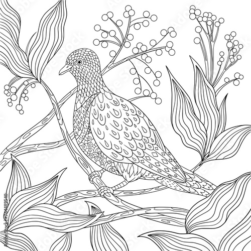 Beautiful fruit dove sit on tree branch with leaves and berries in the forest. Coloring book page for adult with doodle and zentangle elements. Vector hand drawn illustration.