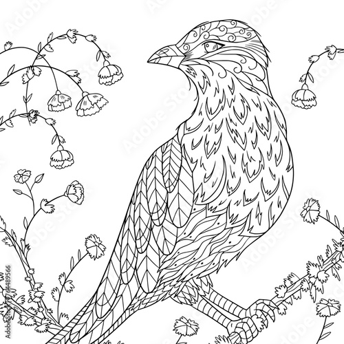 Wallpaper Mural Vector stylization of roller bird on a branch with flowers. Coloring book page for adult with doodle and zentangle elements. Vector hand drawn illustration. Torontodigital.ca