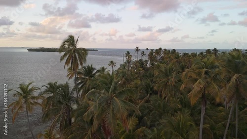 San Blas islands palms on the sunset. photo
