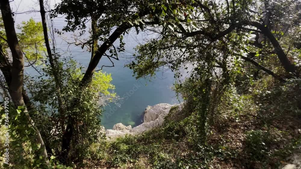 Sea from Boulders cliff trough forest, Opatija, Croatia Sea from Boulders cliff trough forest, Opatija, Croatia