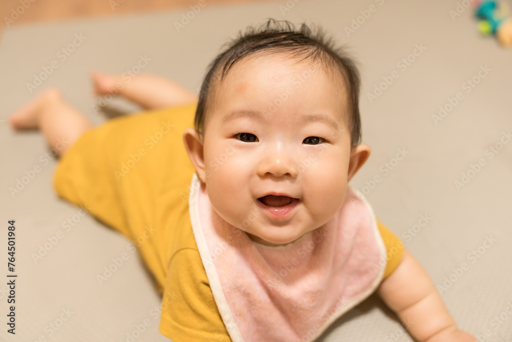 ハイハイする赤ちゃん ハイハイする赤ちゃん