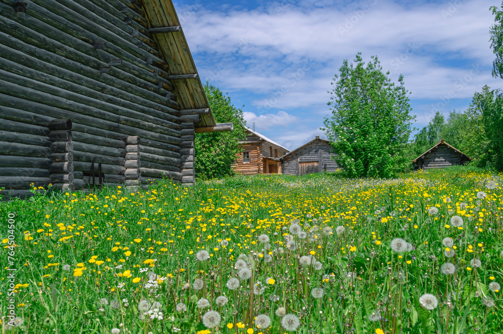 Obraz premium An old house in the village made of dark logs with a wooden roof.Dandelions in front of the house made of logs.Wooden old manor house of the 19th century. Rustic landscape in the summer in the village
