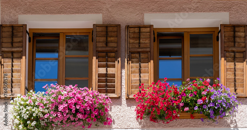 Traditional flowered window at the Alps and Dolomites. Colorful flowers of a windows of a traditional house. Summer time. Mix of flowers and colors. General contest of the European Alps