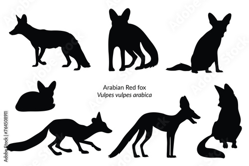 Arabian Red fox (vulpes vulpes arabica) isolated black shapes photo