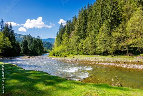 carpathian nature scenery with tereblya river on a sunny day in spring. trees along shore and forest on the hill. mountainous landscape of ukraine with grassy shore beneath a blue sky 