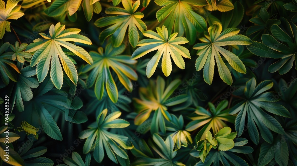 A close up shot of a bunch of green leaves. Suitable for nature and environmental concepts A close up shot of a bunch of green leaves. Suitable for nature and environmental concepts