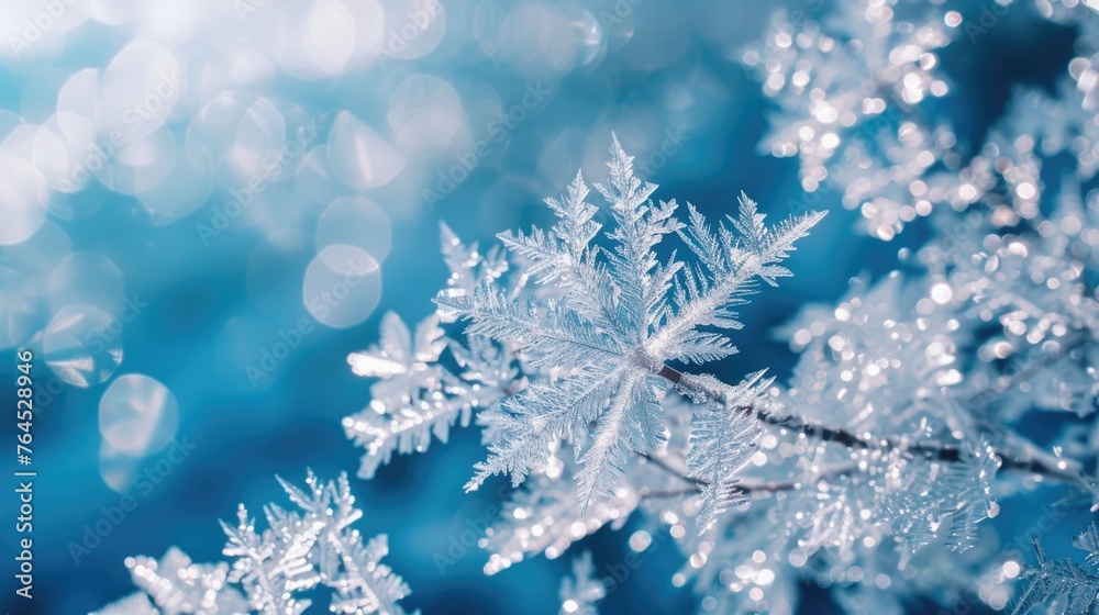 Close up of a tree branch covered in snow. Perfect for winter-themed designs Close up of a tree branch covered in snow. Perfect for winter-themed designs