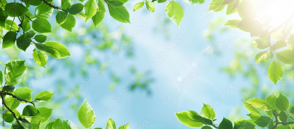 Blue sky and green leaves background banner with copy space Blue sky and green leaves background banner with copy space