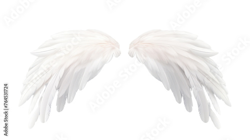 Natural white wing plumage isolated on transparent and white background.PNG image. 
