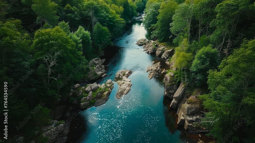 A rocky river in the middle of a forest. Aerial view of river reflecting sky