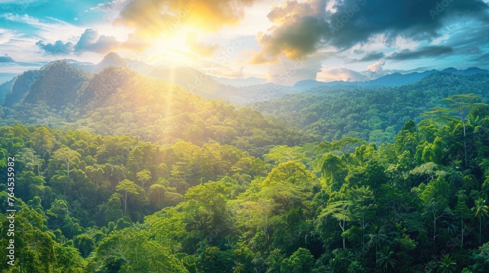 Obraz premium Sun shining through clouds over lush green forest. Ideal for nature and landscape concepts