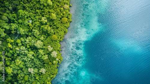 Aerial view of mangrove forest and sea. © Media Srock