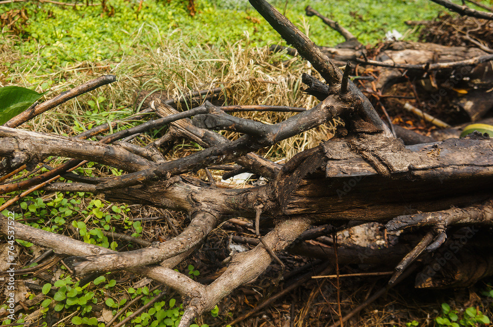 Pile of burning wood on the grass