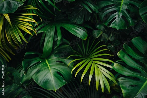 Closeup of green tropical plants
