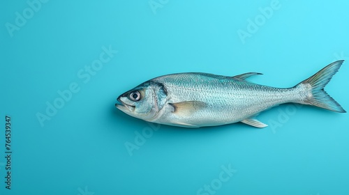  A blue reflection of a fish with its head in the water on a background of that same color