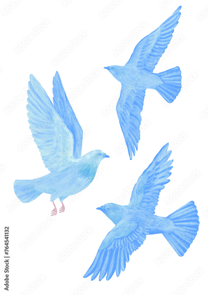 no1.hato no1.hato