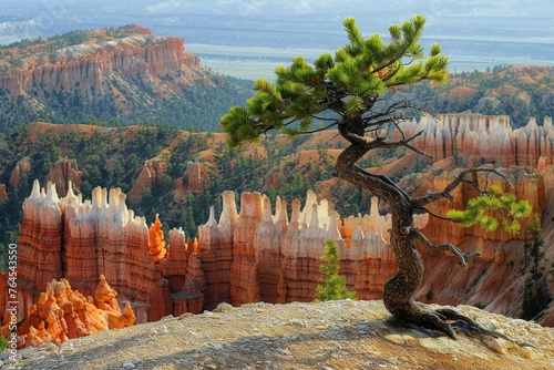Limber pine overlooking the hoodoos of beautiful Bryce Canyon National Park, Utah, USA