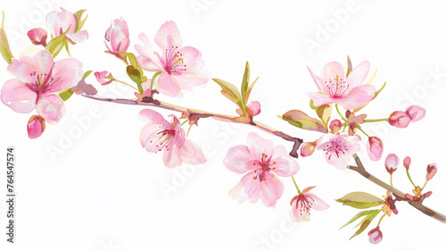 Spring Blossoms Clip Art - Delicate illustration of blooming flowers