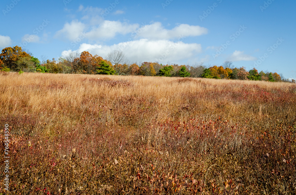 Big Meadows at Shenandoah National Park along the Blue Ridge Mountains in Virginia During Autumn