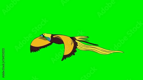 Flying birds of paradise. Cartoon animated illustration of bird by contr4