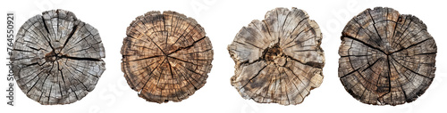 Tree stump, top view, PNG collection