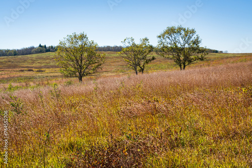 Big Meadows at Shenandoah National Park along the Blue Ridge Mountains in Virginia During Autumn