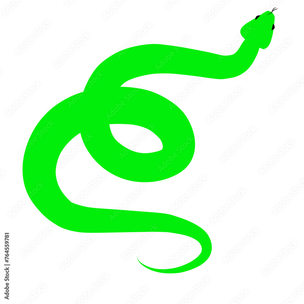 Fototapeta premium Poisonous Green Snake