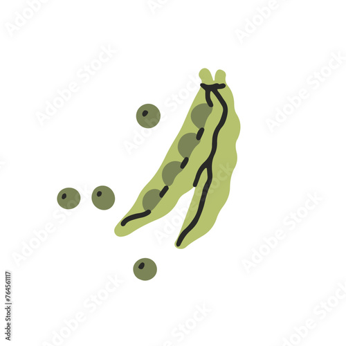 Open ripe pod of peas. Green beans, legume. Fresh vegetables, organic food. Healthy nutrition. Natural vegetarian source of protein, vitamins. Flat isolated vector illustration on white background