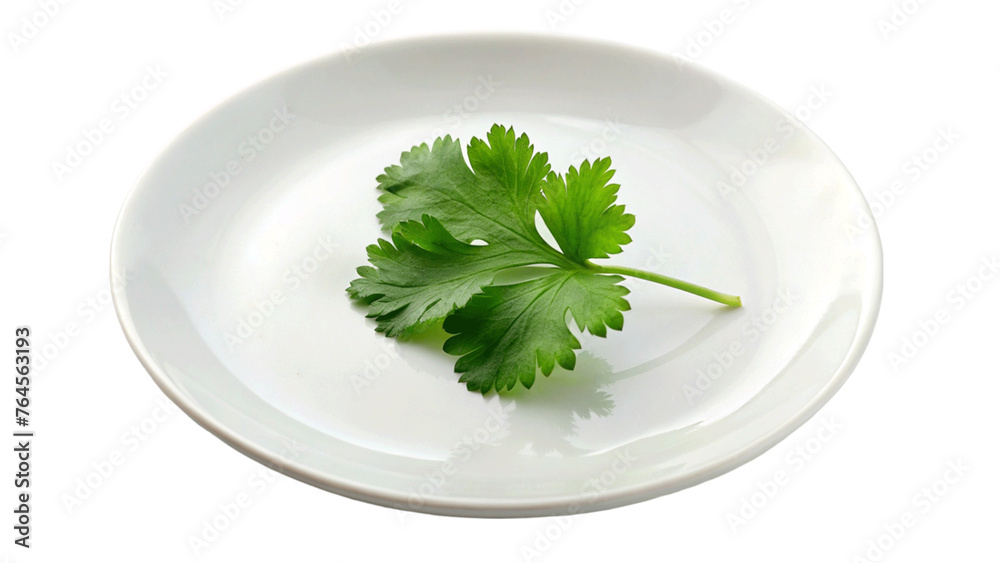 A coriander leaf on plate isolated on Transparent background. A coriander leaf on plate isolated on Transparent background.