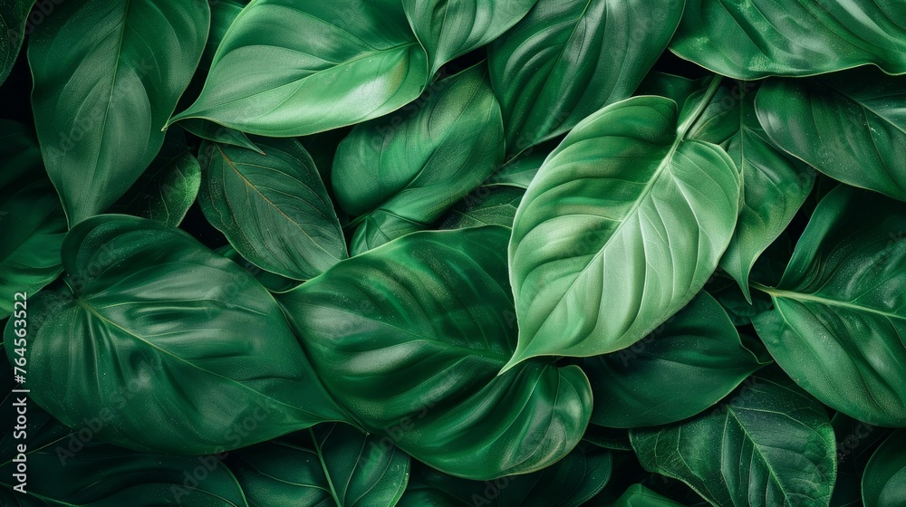 Lush tropical leaves weave an abstract texture, creating a vibrant nature background Lush tropical leaves weave an abstract texture, creating a vibrant nature background