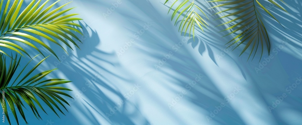 Realistic Transparent Shadow From A Leaf, HD, Background Wallpaper, Desktop Wallpaper