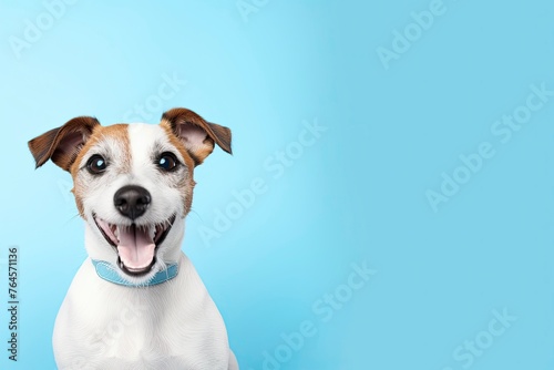 Happy smiling jack russell terrier dog pet puppy - web banner with copy space - generative ai