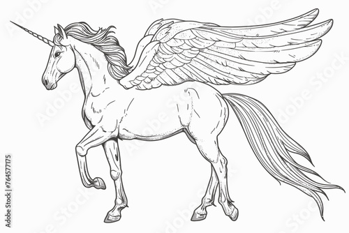 Pegasus with wings Coloring Book Sketch Illustration