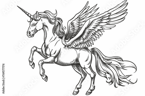 Pegasus with wings Coloring Book Sketch Illustration © Hungarian