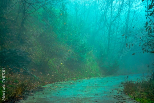 Mystical Elysium: Enchanted Misty Forest