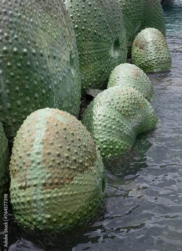 Sea urchin. Art in the water. Queens warf. Wellington New Zealand. Lambton harbour. photo