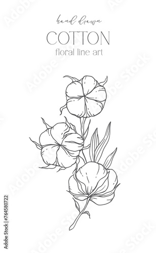 Hand Drawn Cotton Flowers Line Art Illustration. Cotton Balls isolated on white. Hand drawn floral frame Cotton Plant Black and white illustration. Fine Line Cotton illustration. 